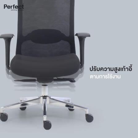 เก้าอี้ทำงานเพื่อสุขภาพ PERFECT รุ่น HIFU/HG สีเทา_3