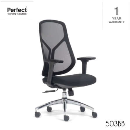 เก้าอี้ทำงานเพื่อสุขภาพ Perfect SWAN SERIES รุ่น 503BB สีดำ_0