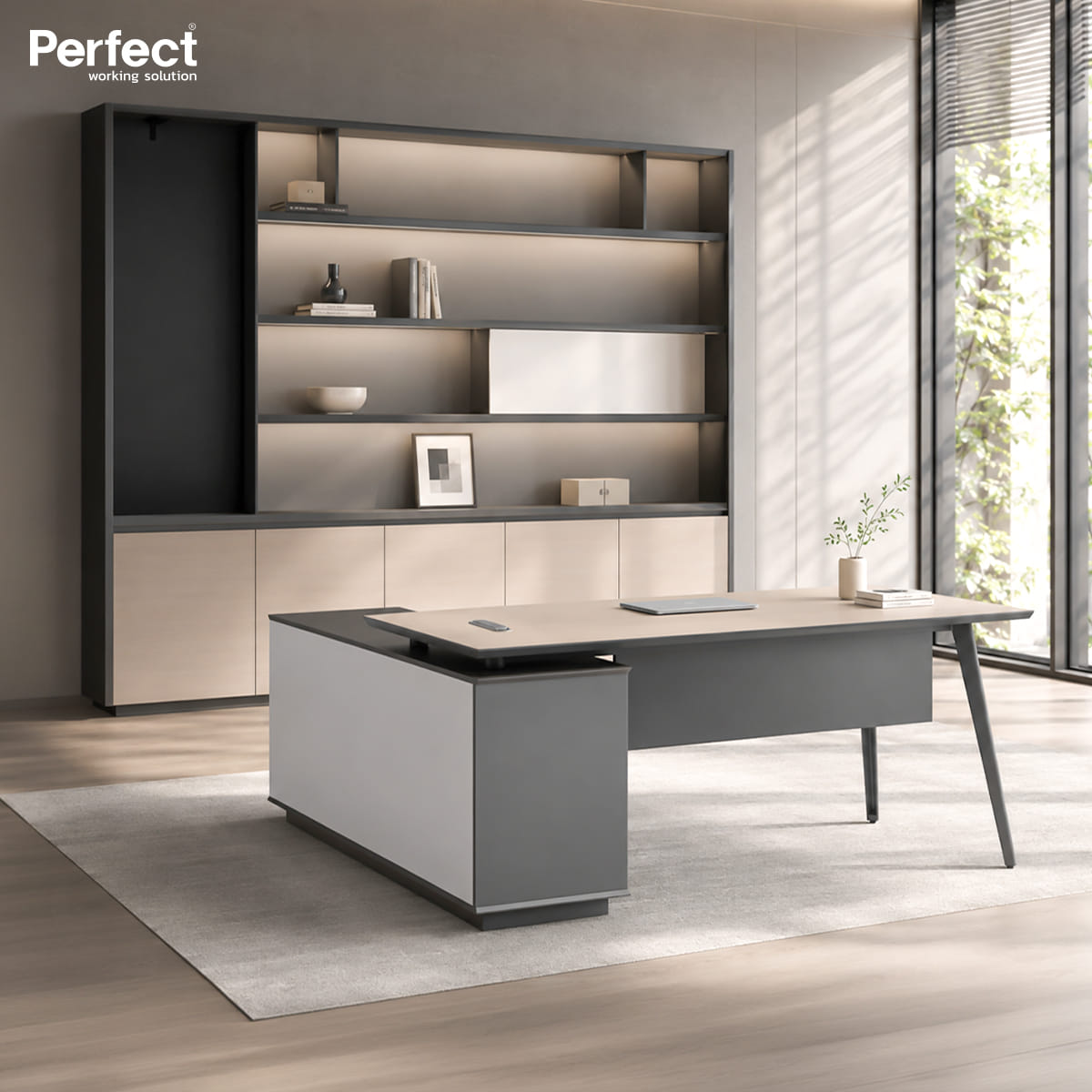 ตู้เก็บเอกสาร PERFECT รุ่น WS-CA2419_1