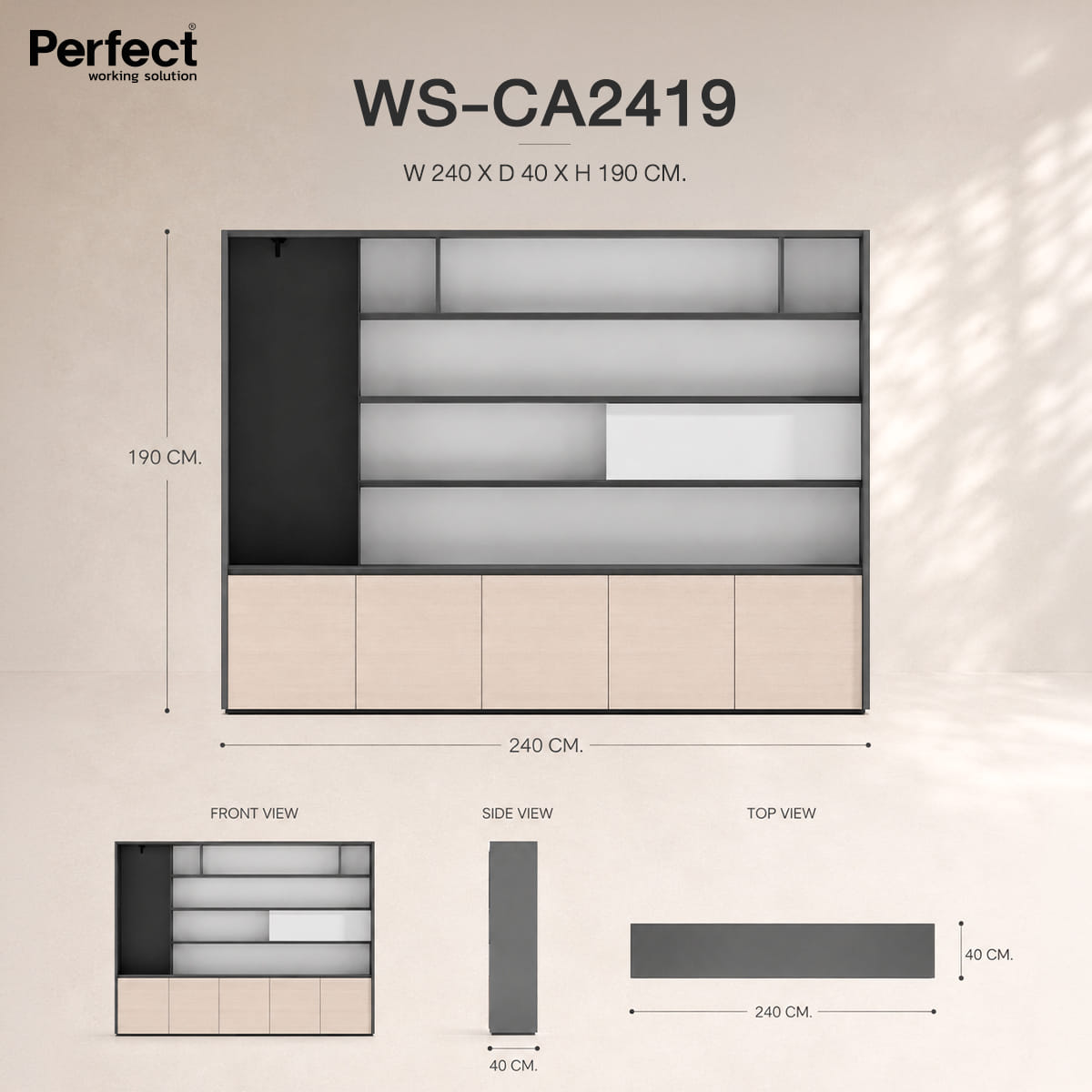 ตู้เก็บเอกสาร PERFECT รุ่น WS-CA2419_2
