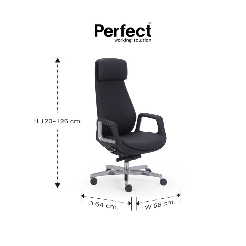 เก้าอี้ทำงานเพื่อสุขภาพ PERFECT รุ่น AKENTA สีดำ_5