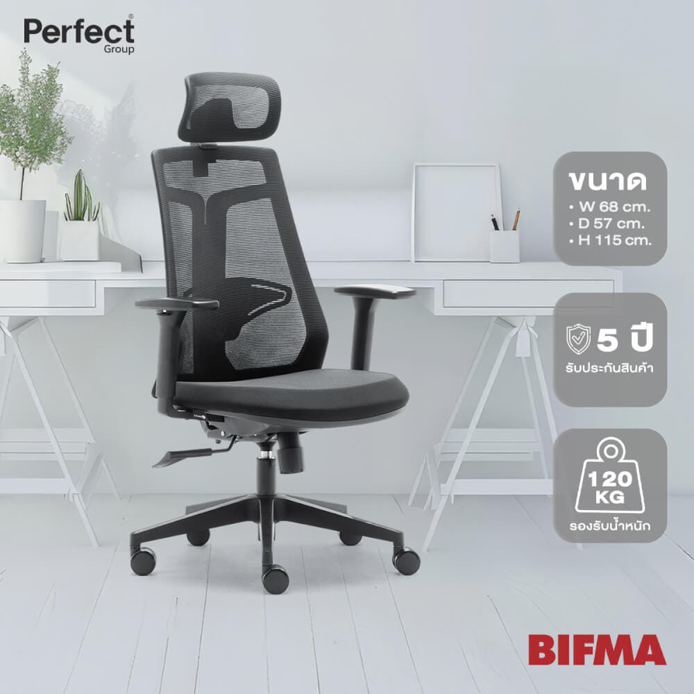 เก้าอี้เพื่อสุขภาพ Perfect รุ่น 6230A สีดำ