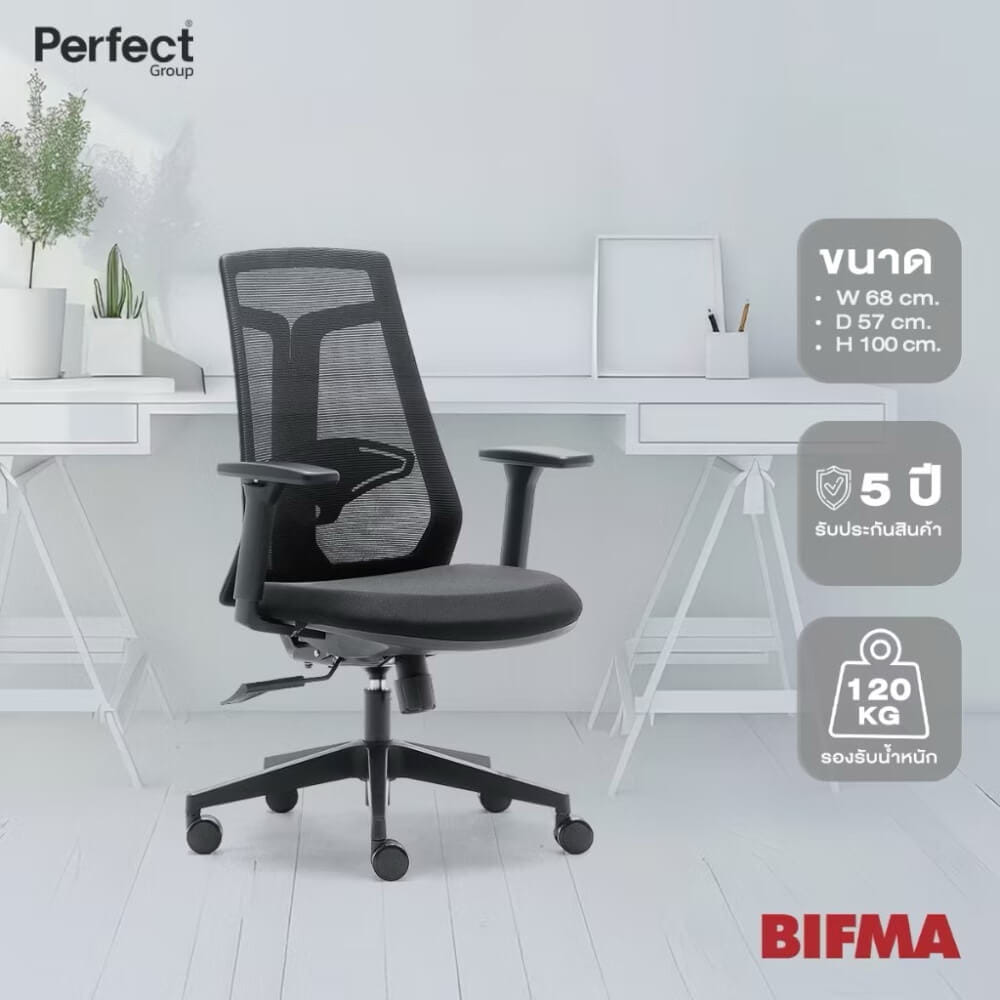 เก้าอี้เพื่อสุขภาพ Perfect รุ่น 6230B สีดำ