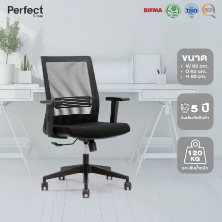 เก้าอี้ทำงานเพื่อสุขภาพ Perfect รุ่น 6042B สีดำ_6