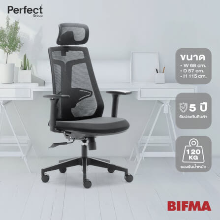 เก้าอี้เพื่อสุขภาพ Perfect รุ่น 6230A สีดำ_7