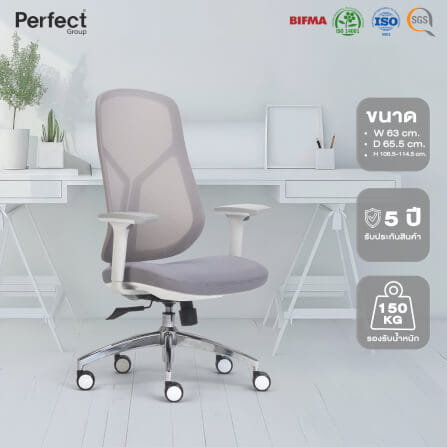 เก้าอี้ทำงานเพื่อสุขภาพ Perfect SWAN SERIES รุ่น 503BG สีเทา_7