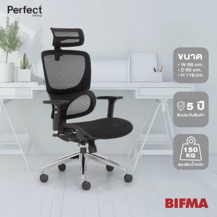 เก้าอี้ทำงานเพื่อสุขภาพ Perfect รุ่น 101DF สีดำ_7