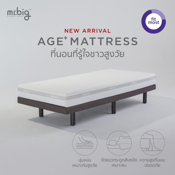ที่นอน 6 ฟุต MR.BIG AGE+ MATTRESS 8