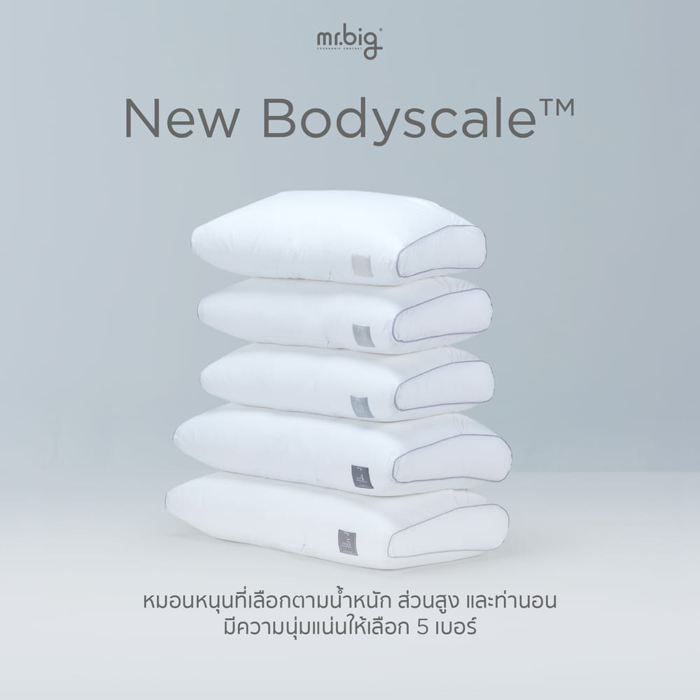 หมอนหนุน ERGONOMIC MR.BIG รุ่น NEW BODYSCALE PILLOW NO.1 สีขาว