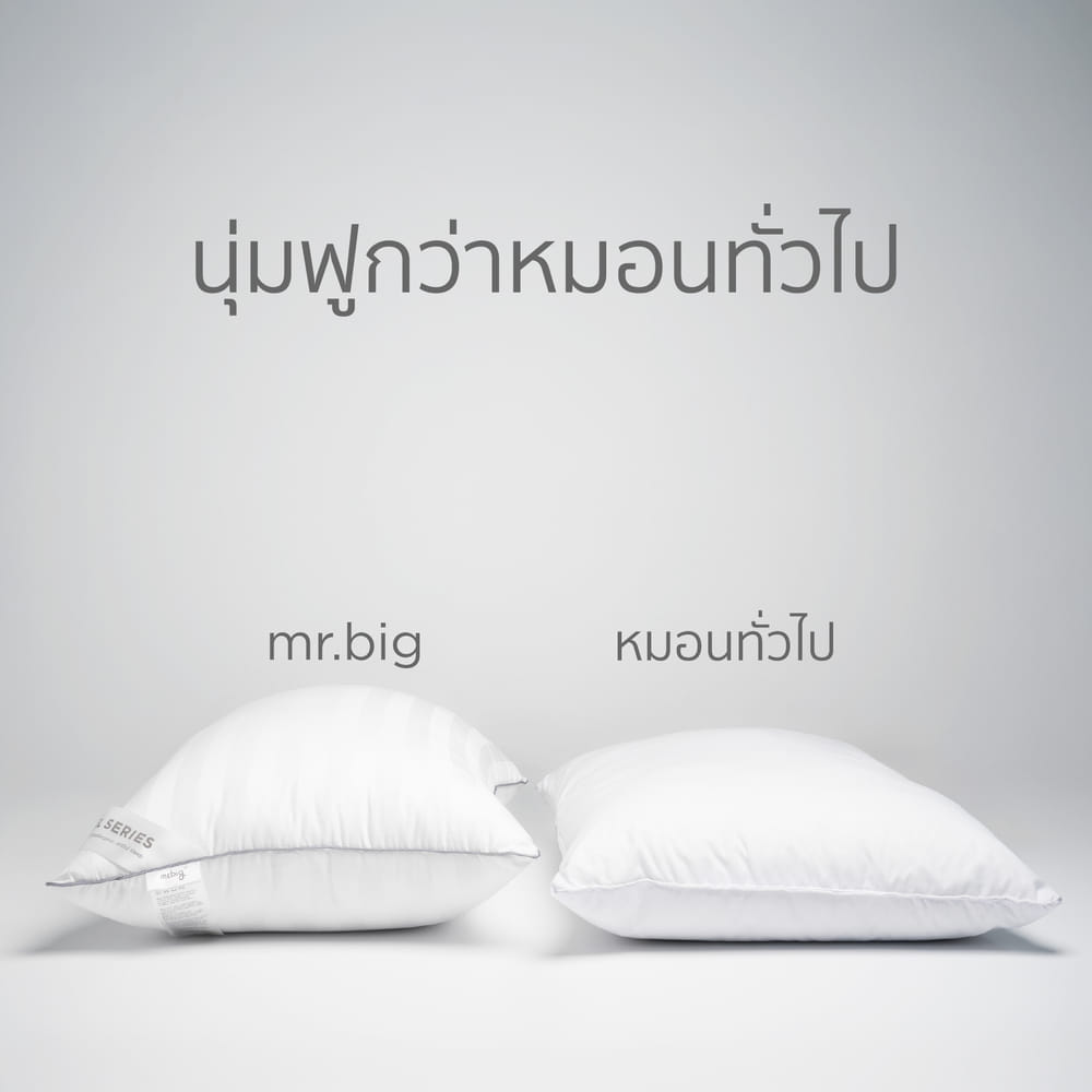 หมอนหนุน MR.BIG HOTEL SERIES TRADITION 19X29 IN แพ็คเดี่ยว 1 ใบ สีขาว