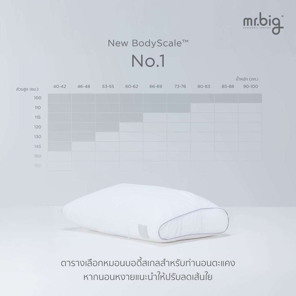 หมอนหนุน ERGONOMIC MR.BIG รุ่น NEW BODYSCALE PILLOW NO.2 สีขาว