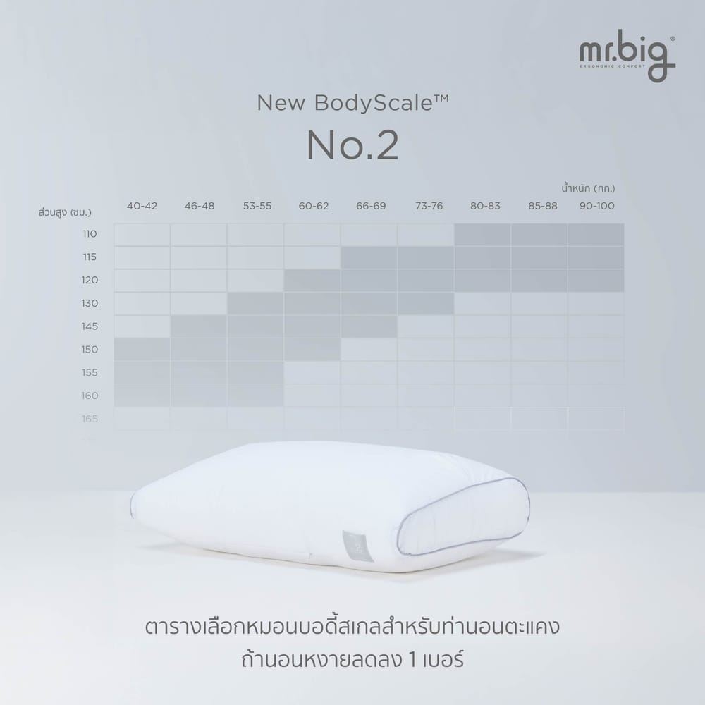 หมอนหนุน ERGONOMIC MR.BIG รุ่น NEW BODYSCALE PILLOW NO.1 สีขาว