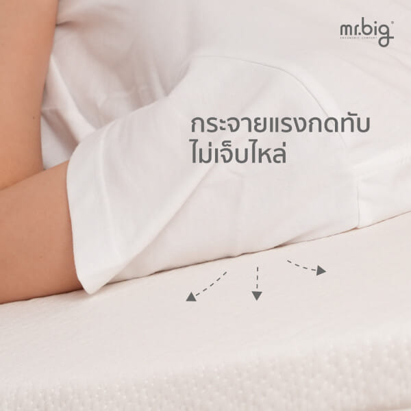 ที่นอน 6 ฟุต MR.BIG AGE+ MATTRESS 8