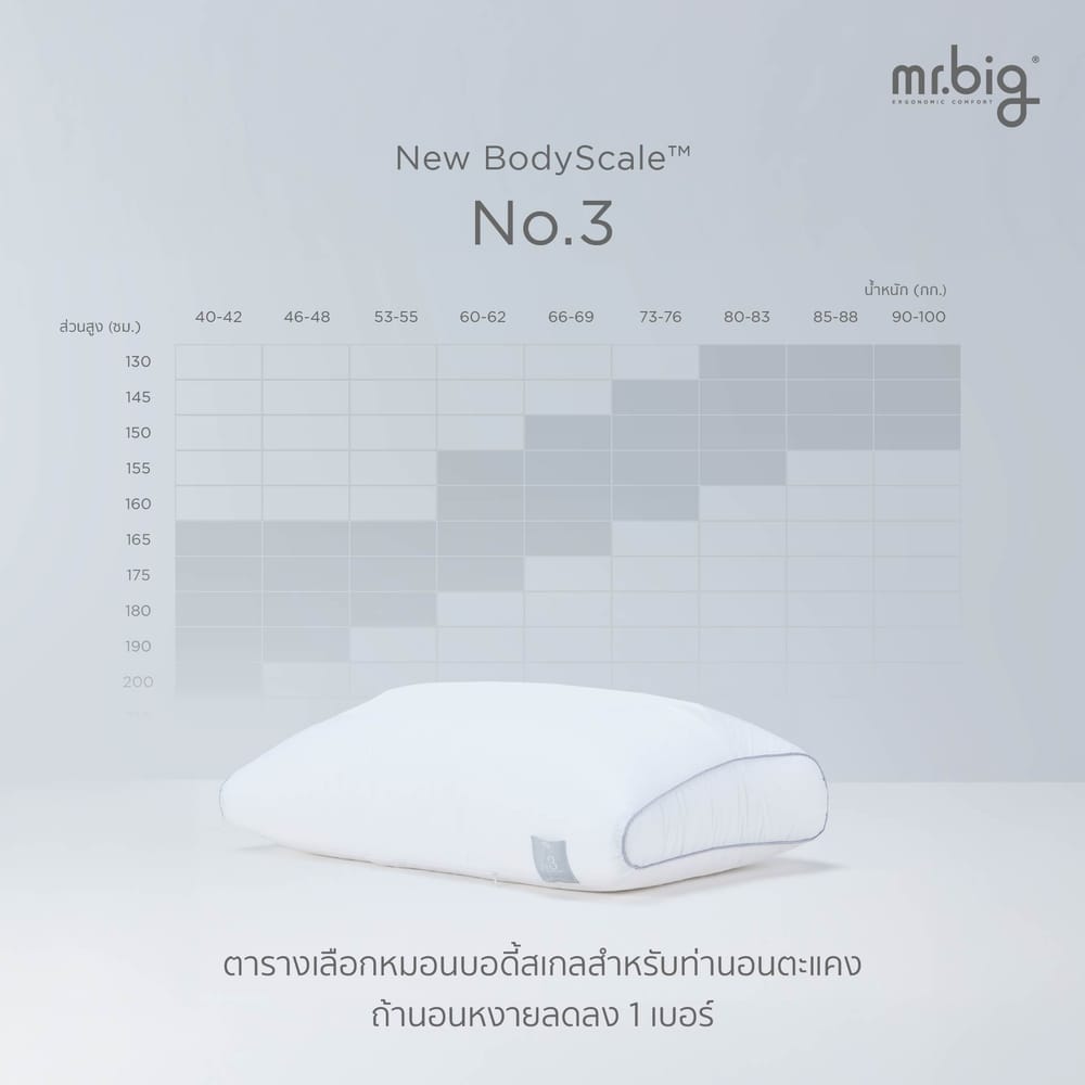 หมอนหนุน ERGONOMIC MR.BIG รุ่น NEW BODYSCALE PILLOW NO.2 สีขาว