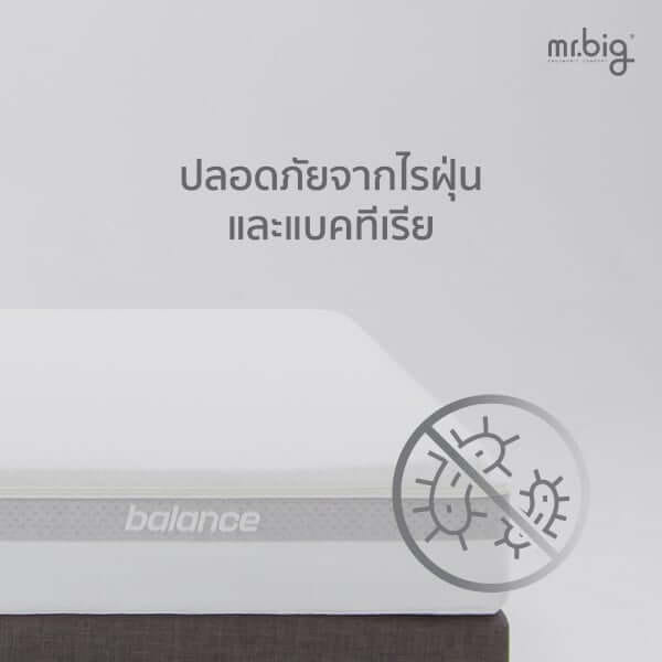 ที่นอน 6 ฟุต MR.BIG AGE+ MATTRESS 8