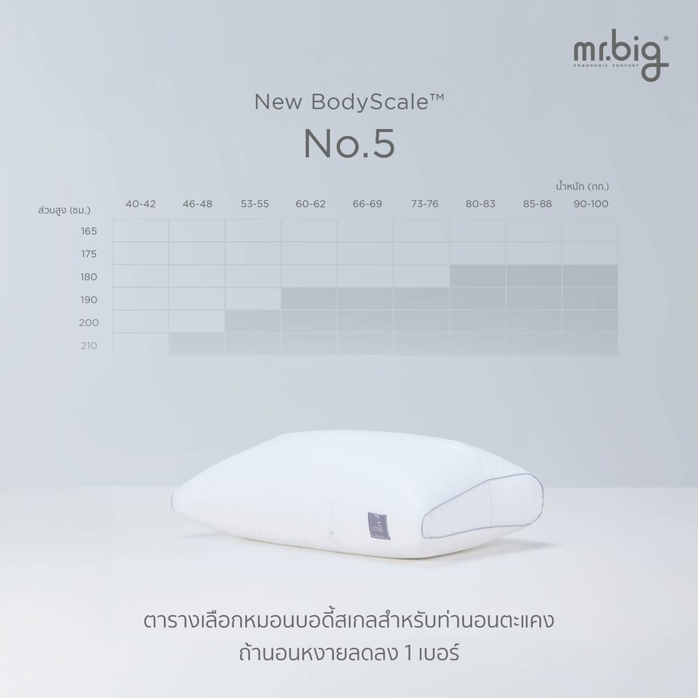 หมอนหนุน ERGONOMIC MR.BIG รุ่น NEW BODYSCALE PILLOW NO.1 สีขาว