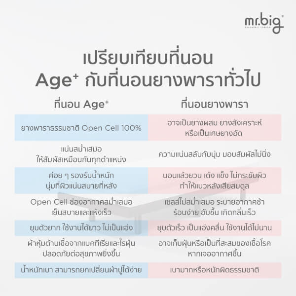 ที่นอน 6 ฟุต MR.BIG AGE+ MATTRESS 8