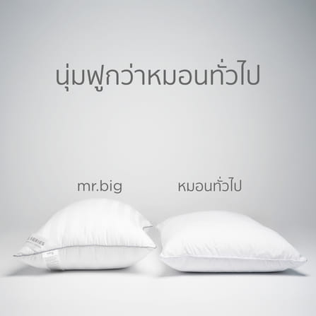 หมอนหนุน MR.BIG HOTEL SERIES TRADITION 19X29 IN แพ็คเดี่ยว 1 ใบ สีขาว_4