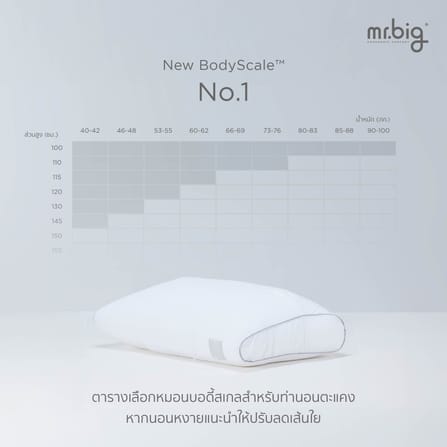 หมอนหนุน ERGONOMIC MR.BIG รุ่น NEW BODYSCALE PILLOW NO.5 สีขาว_4