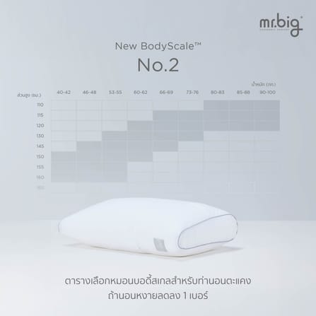 หมอนหนุน ERGONOMIC MR.BIG รุ่น NEW BODYSCALE PILLOW NO.3 สีขาว_5