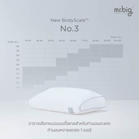 หมอนหนุน ERGONOMIC MR.BIG รุ่น NEW BODYSCALE PILLOW NO.1 สีขาว_6