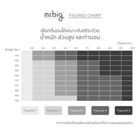 ที่นอน 3.5 ฟุต mr.big Figured™ Two สีขาว ที่นอนสำหรับคนตัวเล็ก_7
