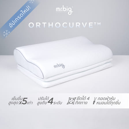 หมอนหนุน mr.big รุ่นออโธเคิฟ™ หมอนปรับระดับได้ สีขาว_8