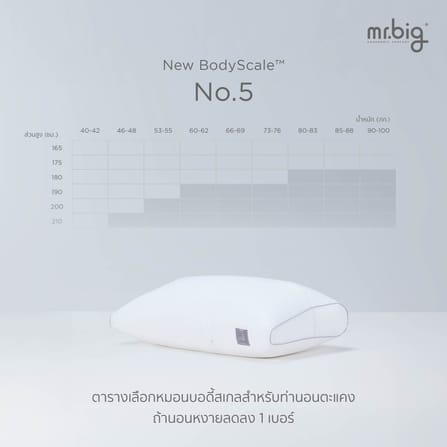 หมอนหนุน ERGONOMIC MR.BIG รุ่น NEW BODYSCALE PILLOW NO.3 สีขาว_8