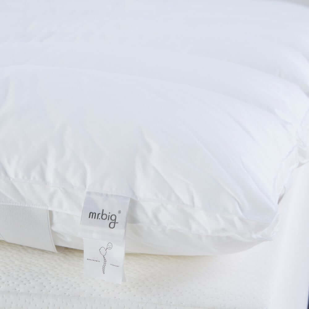 แผ่นรองนอน 6 ฟุต mr.big CloudComforter Topper ท็อปเปอร์เส้นใยนอนสบายแบบไร้จุดกดทับ สีขาว