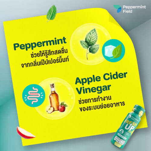 เครื่องดื่ม PEPPERMINT FIELD FRESH UP ขนาด 50 มล. แพค 12 ขวด