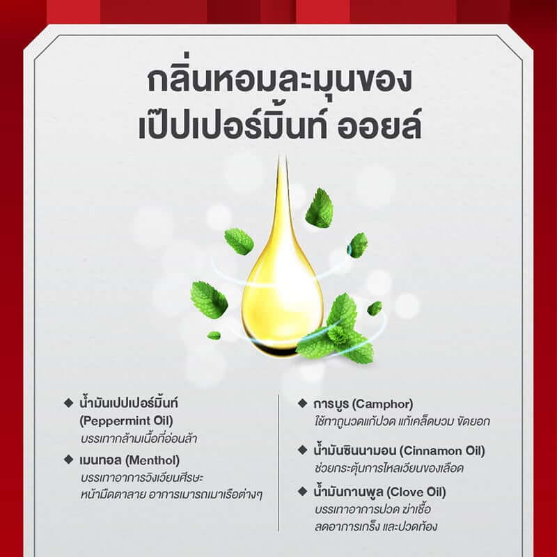 เซ็ตสบายกาย คลายปวดเมื่อย เซียงเพียว ของขวัญให้ผู้ใหญ่ จำนวน 1 เซต_7