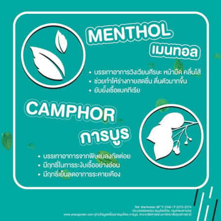 ยาหม่องเจล เป๊ปเปอร์มิ้นท์ ฟิลด์ กลิ่นชาเขียว ขนาด 8 กรัม จำนวน 3 ชิ้น_2