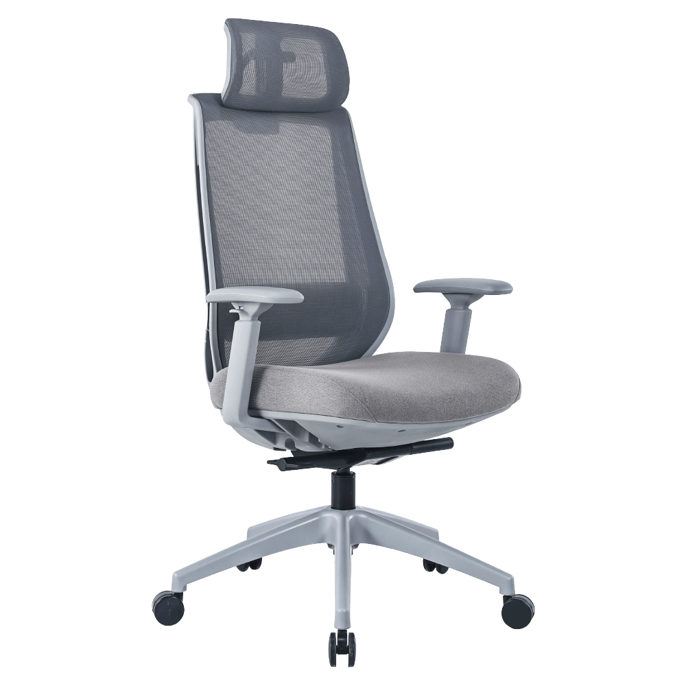 เก้าอี้ทำงาน เพื่อสุขภาพ LUNIO ERGO APOLLO SMART X2 CHAIR GRAY ASTRON สีเทา_0