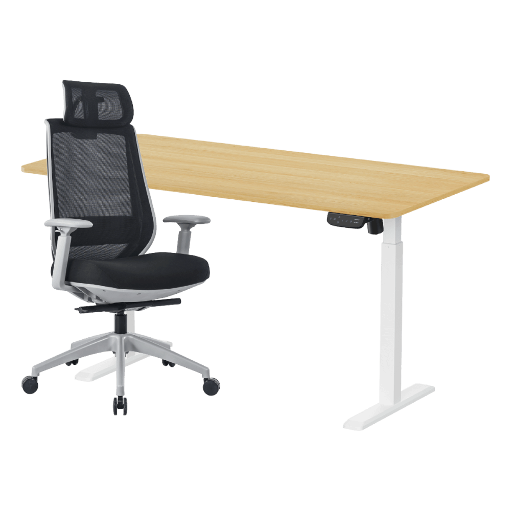 เซ็ตโต๊ะปรับระดับไฟฟ้า+เก้าอี้ทำงานเพื่อสุขภาพ LUNIO ERGO SPACE II (SIZE 160 X 80 CM) + LUNIO ERGO APOLLO SMART X2 (สีดำ/เทา)