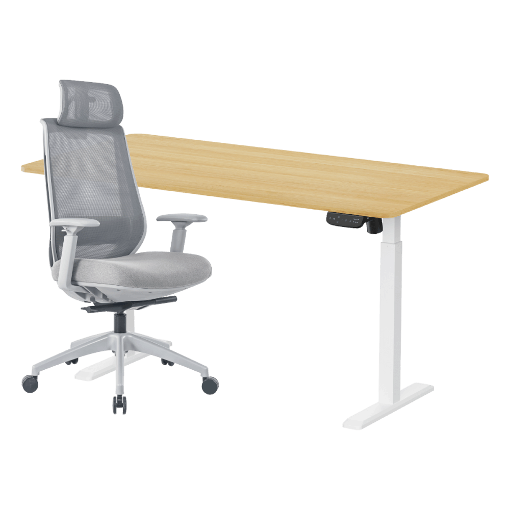 เซ็ตโต๊ะปรับระดับไฟฟ้า+เก้าอี้ทำงานเพื่อสุขภาพ LUNIO ERGO SPACE II (SIZE 160 X 80 CM) + LUNIO ERGO APOLLO SMART X2 (สีเทา)
