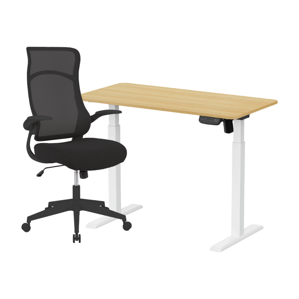 เซ็ตโต๊ะปรับระดับไฟฟ้า+เก้าอี้ทำงานเพื่อสุขภาพ LUNIO ERGO SPACE II (SIZE 120 X 60 CM) + ADAM DOT.2 ERGO CHAIR GRAVITY (สีดำ)