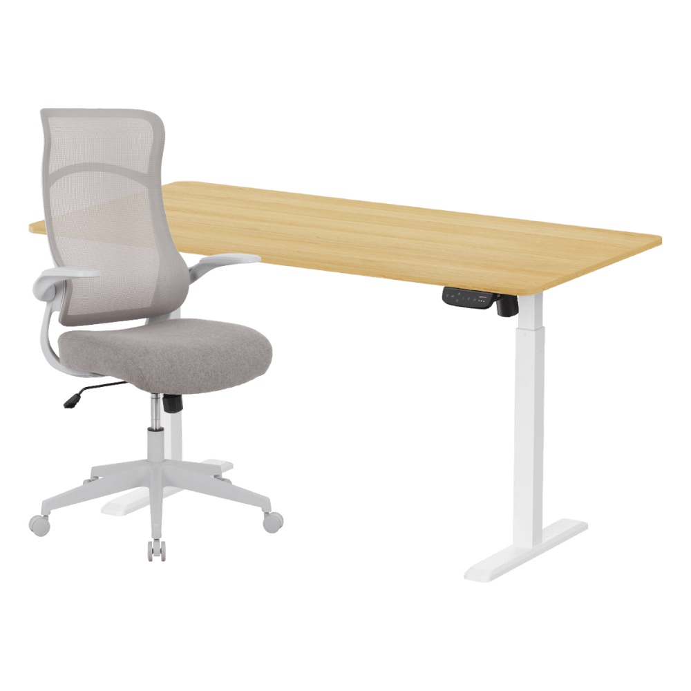 เซ็ตโต๊ะปรับระดับไฟฟ้า+เก้าอี้ทำงานเพื่อสุขภาพ LUNIO ERGO SPACE II (SIZE 160 X 80 CM) + ADAM DOT.2 ERGO CHAIR GRAVITY (สีเทา)
