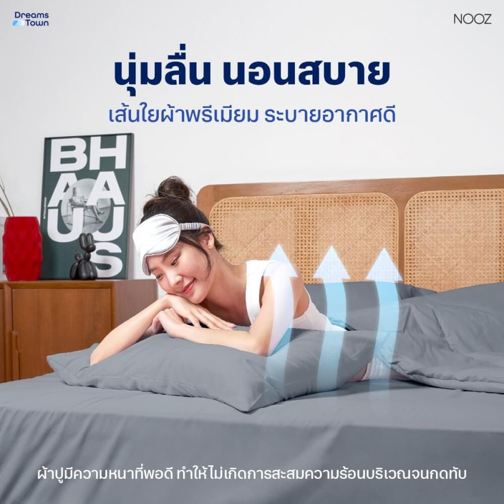 ผ้าปูที่นอน 3.5 ฟุต Nooz Play รุ่น Bedding Set สีเทา Cloudy Gray_2