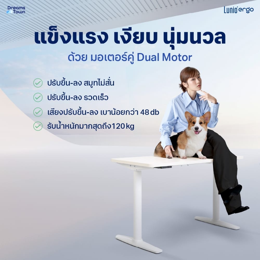โต๊ะปรับระดับไฟฟ้าเพื่อสุขภาพ LUNIO SPACE ONE สีขาว WHITE FROZEN SIZE 160 X 80 CM