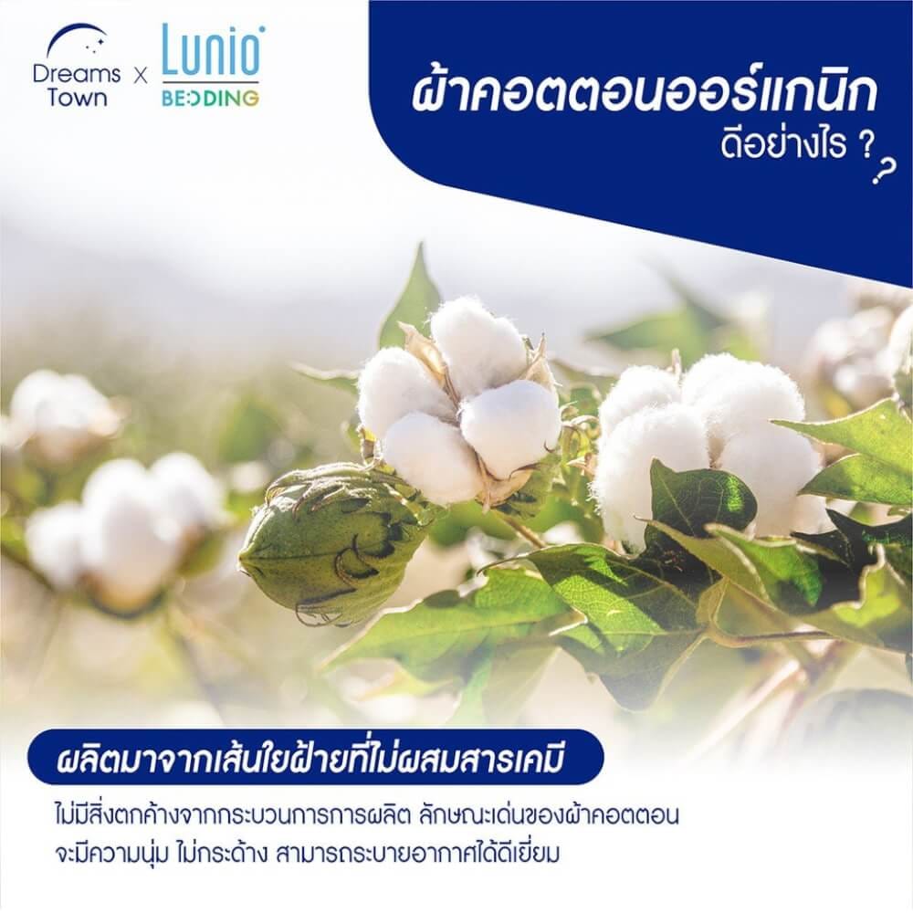 ผ้าห่ม ผ้านวม LUNIO CLOUD DUVET CLASSIC SERIES TWIN SIZE_9