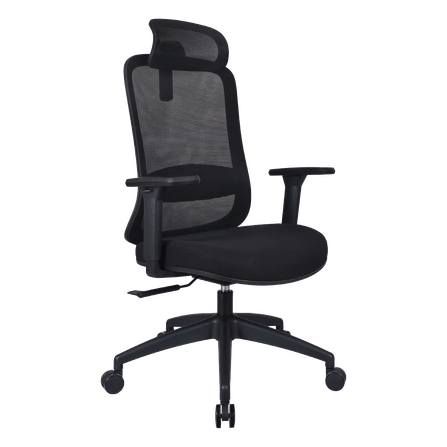 เก้าอี้ทำงานเพื่อสุขภาพ LUNIO ERGO STARLIGHT BLACK GRAPHITE สีดำ_0