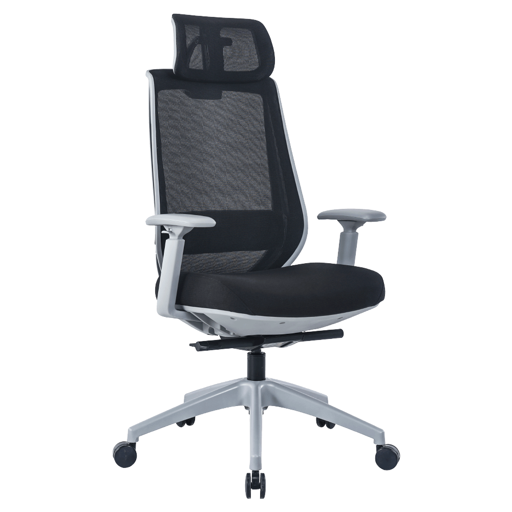 เก้าอี้ทำงาน เพื่อสุขภาพ LUNIO ERGO APOLLO SMART X2 CHAIR BLACK JET สีดำ/เทา