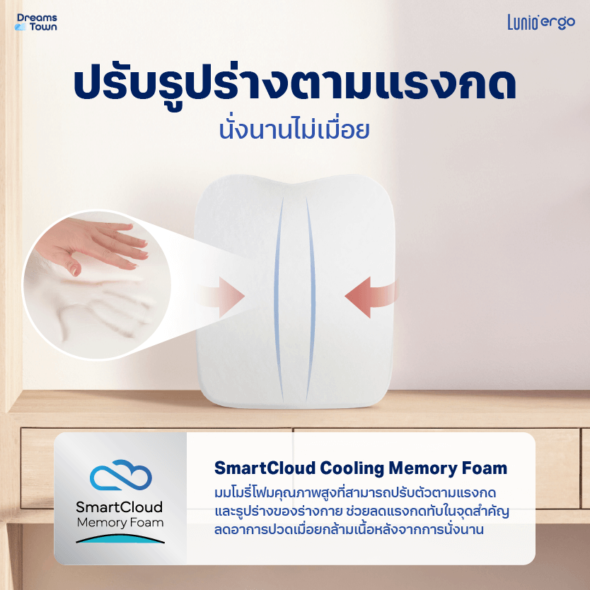 เบาะรองหลัง LUNIO ERGO LITE BACK CUSHION_2