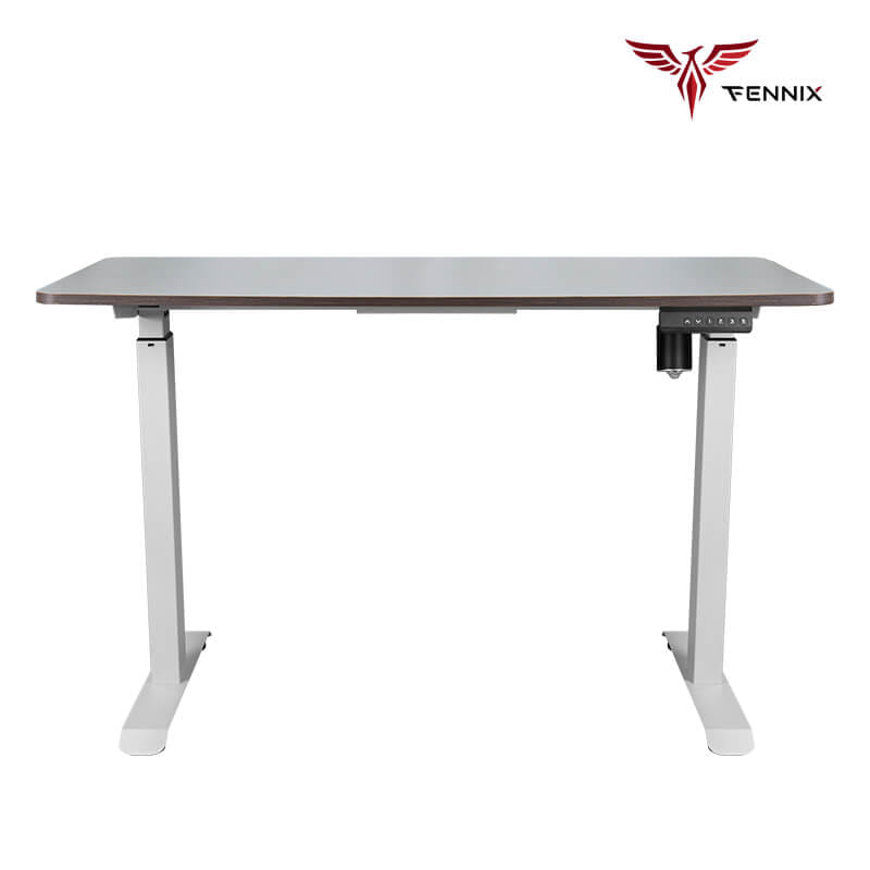 โต๊ะทำงานเพื่อสุขภาพ FENNIX รุ่น 120*60CM สีไม้สีเข้ม/ขาว