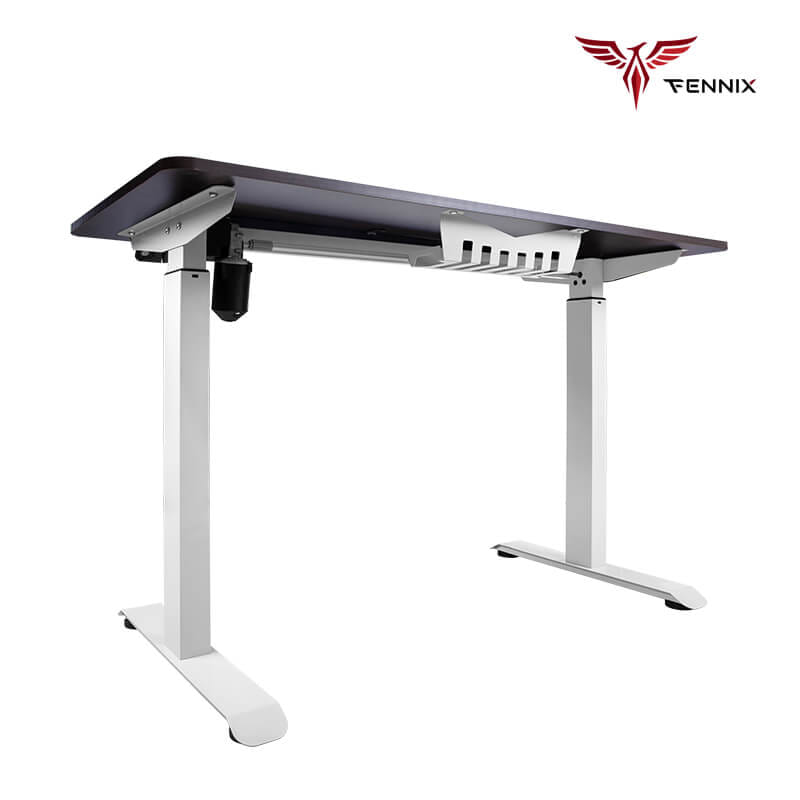 โต๊ะทำงานเพื่อสุขภาพ FENNIX รุ่น 120*60CM สีไม้สีเข้ม/ขาว_2