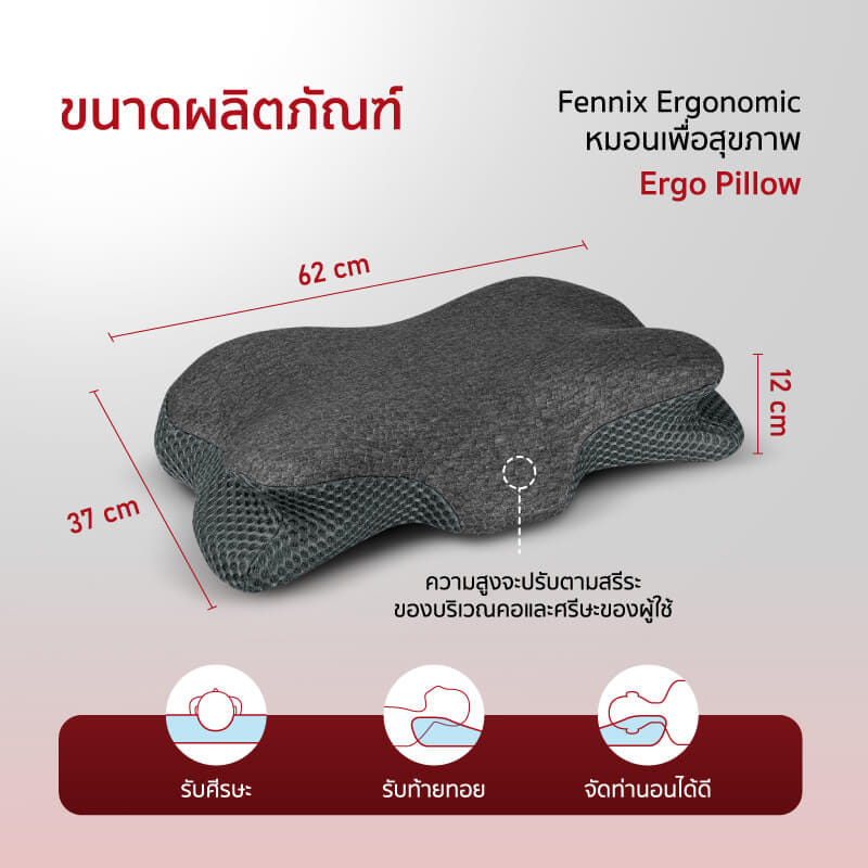 หมอนเพื่อสุขภาพ FENNIX รุ่น ERGO PILLOW สีขาว/เทา_4