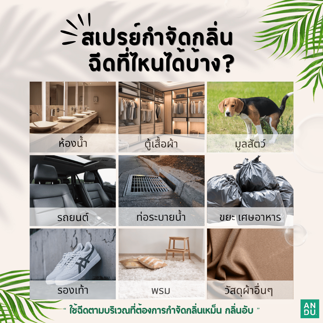 สเปรย์ดับกลิ่น สูตรสกัดจากธรรมชาติ อันดู (ANDU) กำจัดกลิ่นเหม็น กลิ่นอับ_3