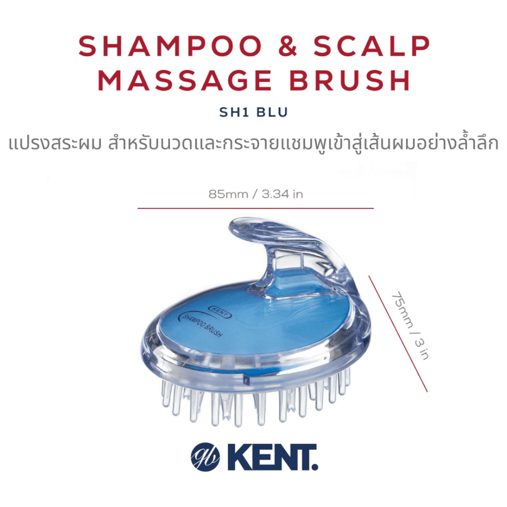 แปรงสระผม KENT SHAMPOO AND SCALP MASSAGE BRUSH สีฟ้า