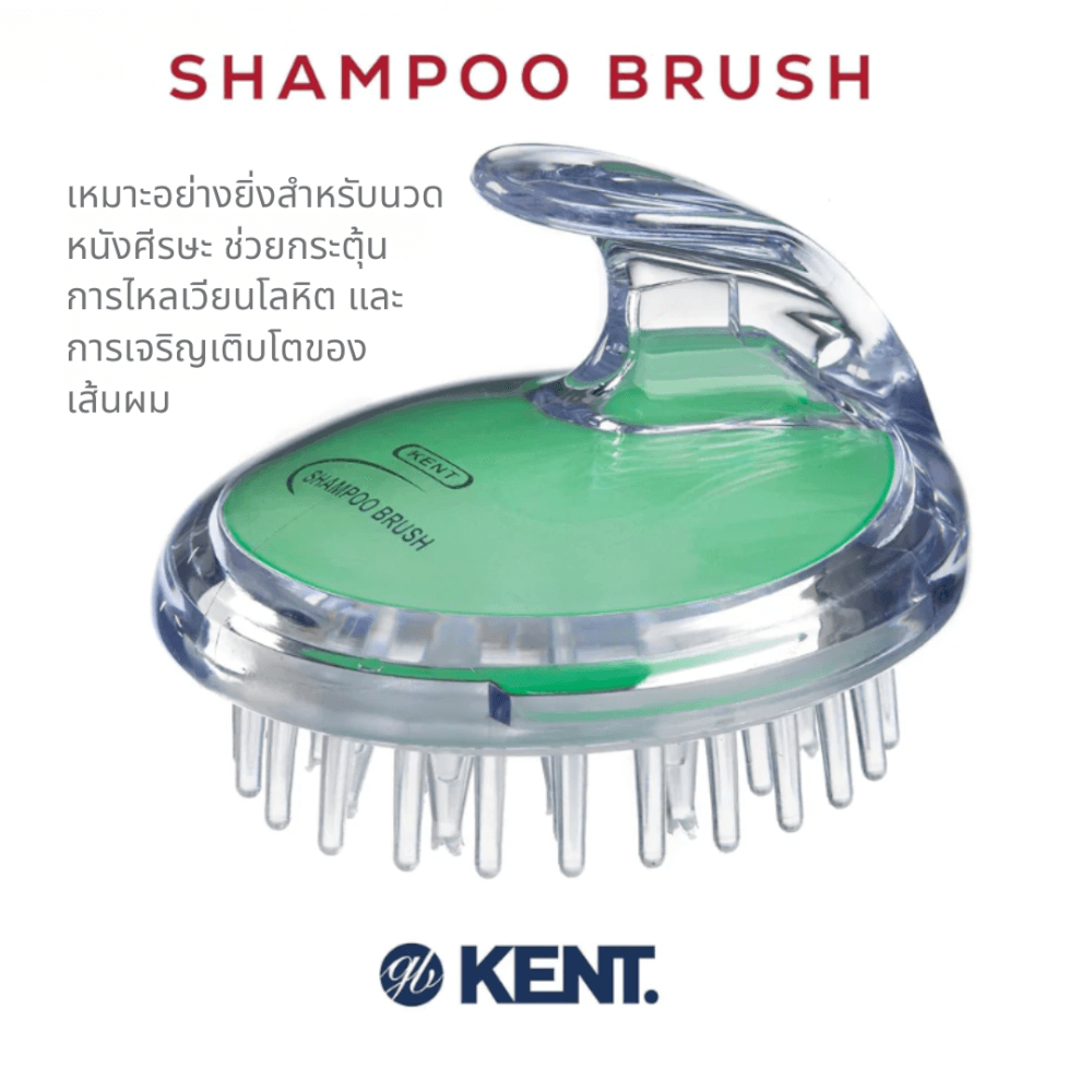 แปรงสระผม KENT SHAMPOO AND SCALP MASSAGE BRUSH สีเขียว
