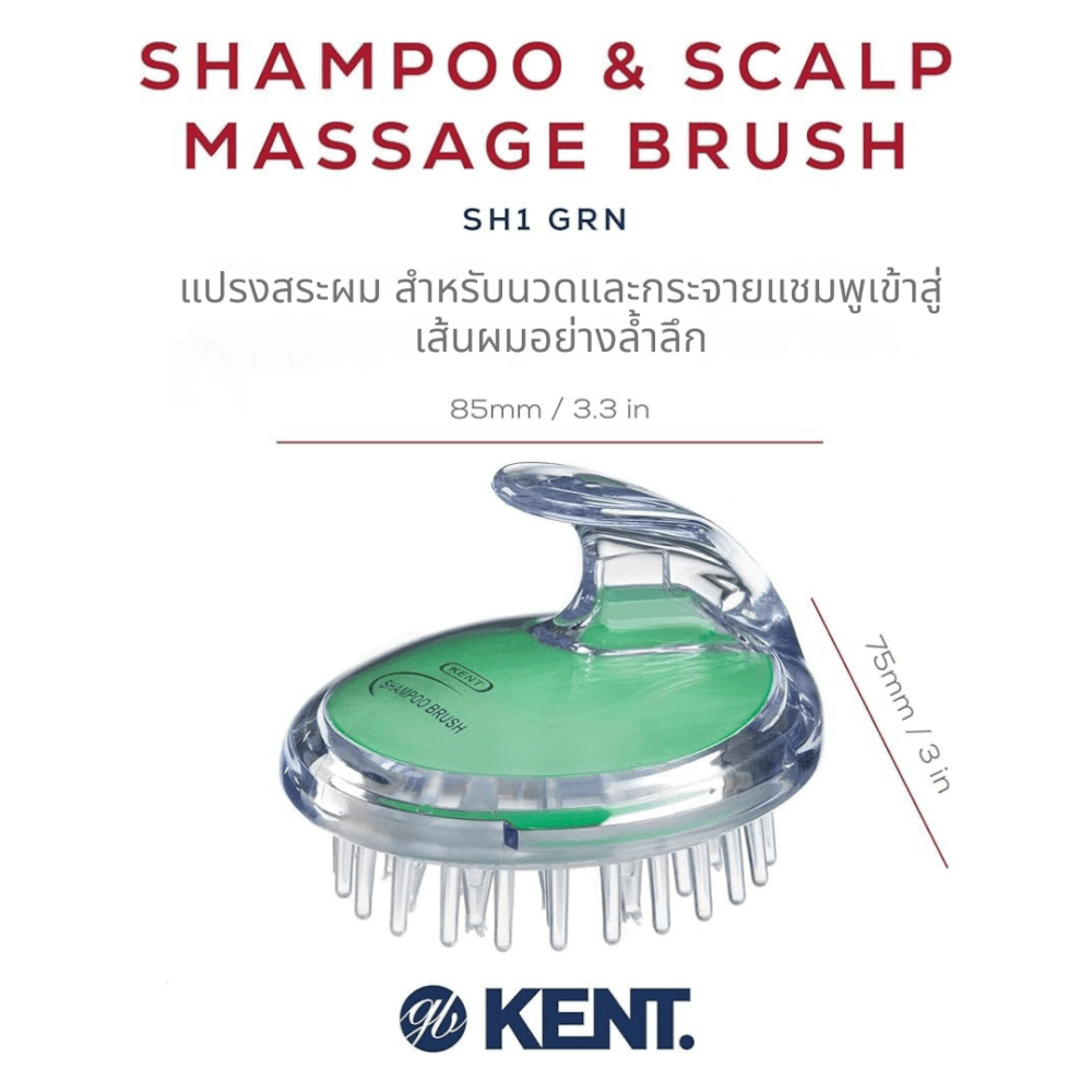 แปรงสระผม KENT SHAMPOO AND SCALP MASSAGE BRUSH สีเขียว